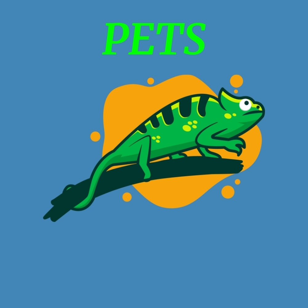 Pets Category